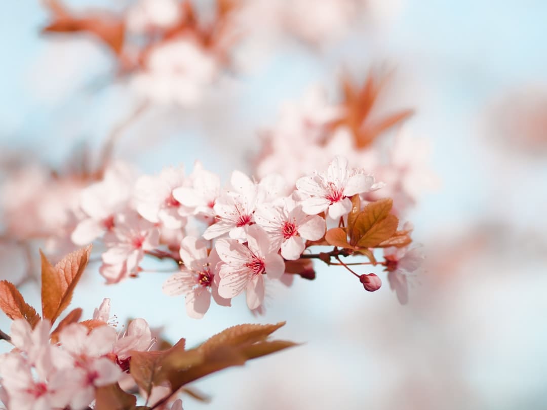 https://picture01.52hrttpic.com/image/infoImage/202507/24/f635f055a903e48b6a347c5cf67a9a195.png?1001x751
